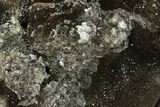 Polished Septarian Geode Sculpture - Barite Crystals #177430-1